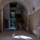 ...messe l� per i tanti gatti che �occupano� lo stabile